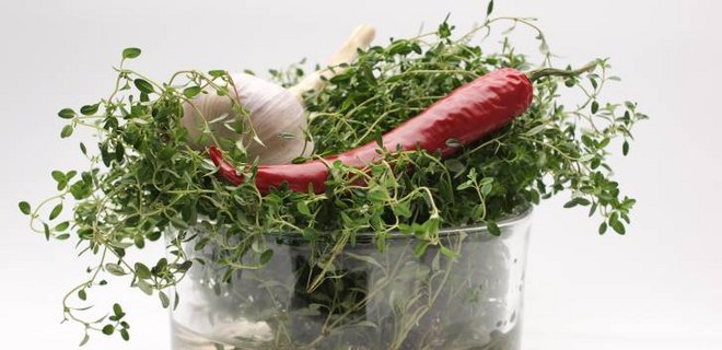 Bewährtes Hausmittel Chilli und Knoblauch