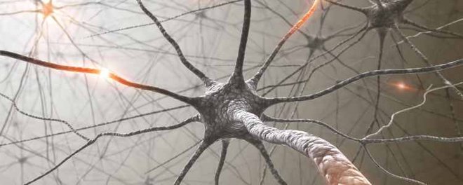 Physiotherapie bei Morbus Parkinson1