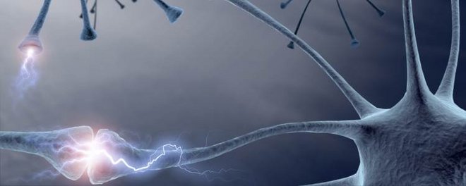 Physiotherapie bei neurologische Erkrankungen neurologische Erkrankungen betreffen das zentrale und periphere Nervensystem.