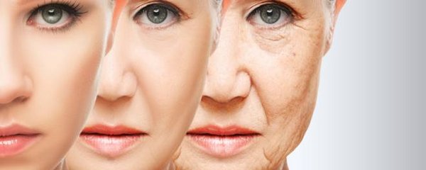Alterungsprozess der Haut