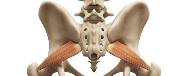 Piriformis Syndrom Osteopathie